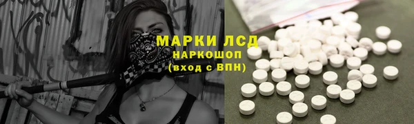 крисы Аркадак